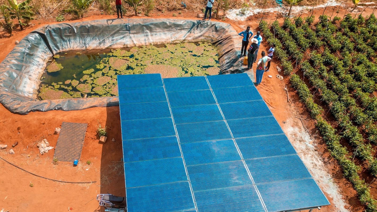 Solar-powered irrigation project supporting sustainable agriculture