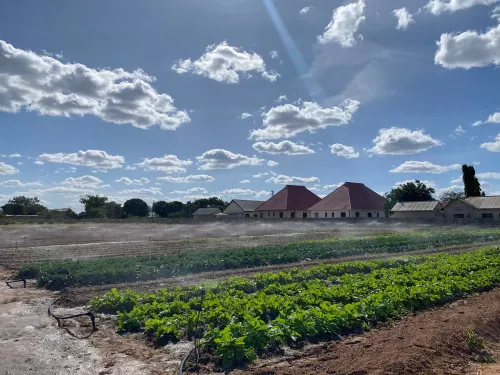 Agriculture